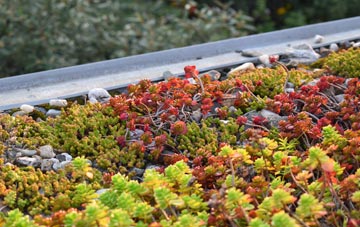 the cost of Bustatoun green roof installation