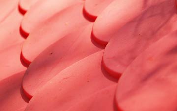 Bustatoun plastic roof costs